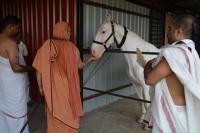 HH Swamiji at the Goshala